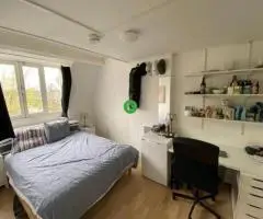 QQVIO in Heerenhuis Adrianus – Gezellig studentenhuis in Maastricht!